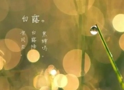 ¶